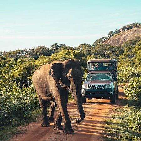 Birds Paradise Yala & Safari Tissamaharama Exterior foto