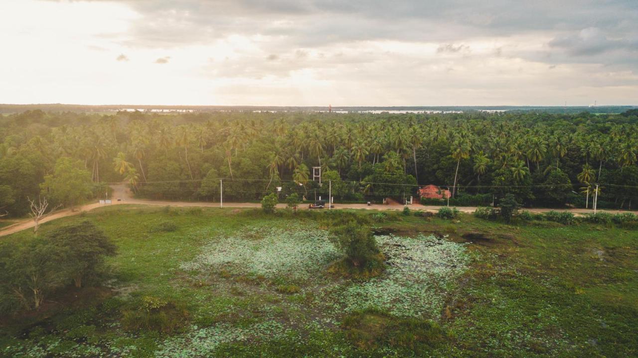 Birds Paradise Yala & Safari Tissamaharama Exterior foto